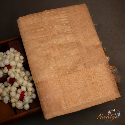Tussar Silk Saree - Beige with Gold Jari Border