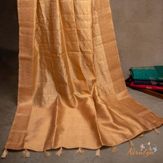 Tussar Silk Saree - Beige with Gold Jari Border