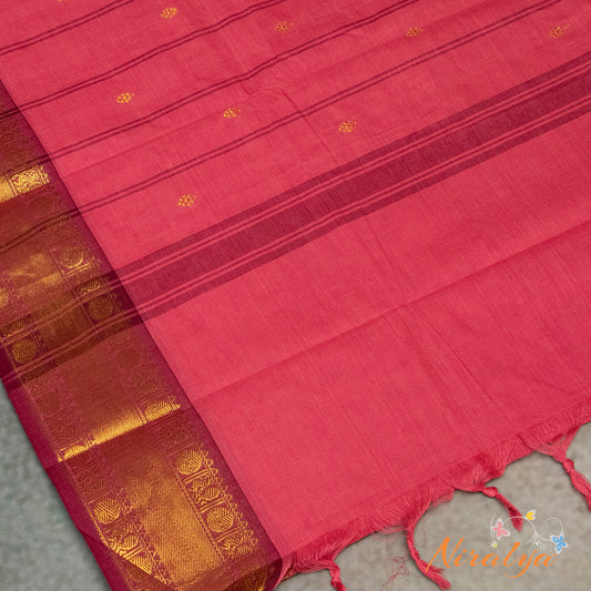 Chettinad Cotton Saree - Rose Pink with Antique Gold Jari Border