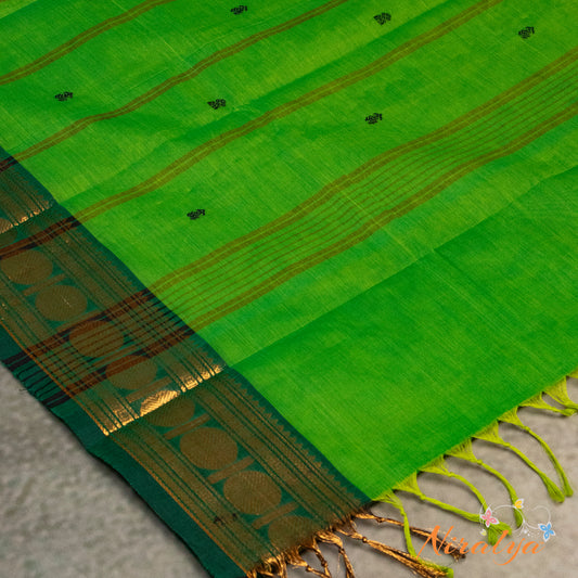 Chettinad Cotton Saree - Parrot Green with Antique Gold Jari Border